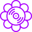 A purple flower with a green background